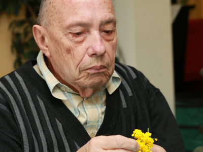 Farbenfroher Blumenteppich für Haus am See