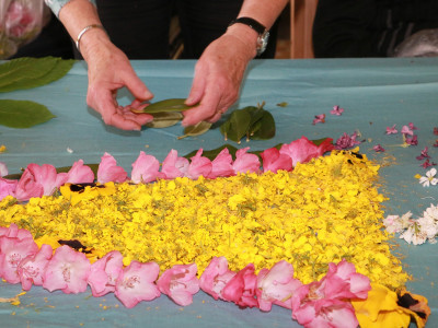 Farbenfroher Blumenteppich für Haus am See