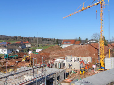 KW 06 - 2023